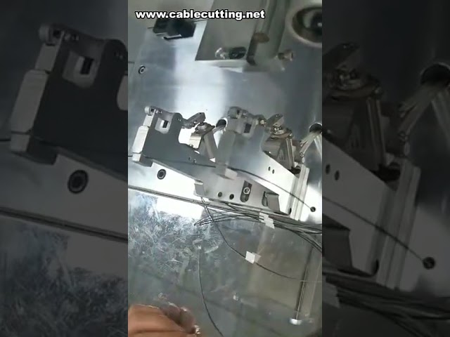 Wire Labeling Machine,Taping Car Sticker Machine,Cable Flag Folded Labeling Machine